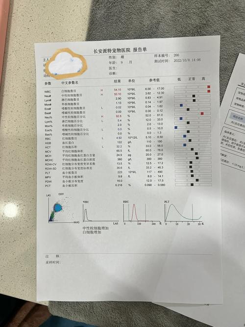 狗狗白细胞低怎么办,狗狗白细胞低怎么回事-第3张图片-后鲨宠物 狗狗白细胞低怎么办,狗狗白细胞低怎么回事-第3张图片-后鲨宠物