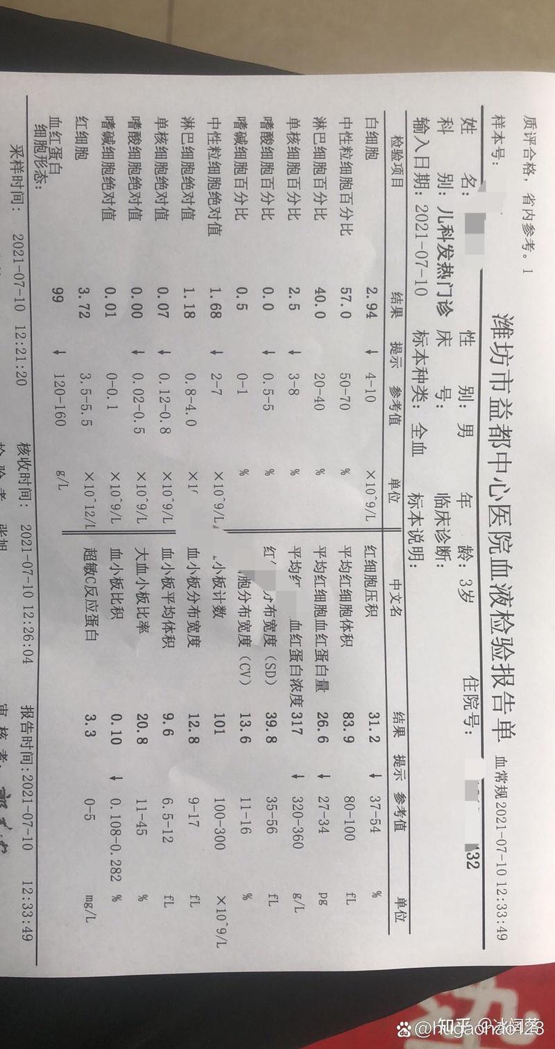 狗狗白细胞低怎么办,狗狗白细胞低怎么回事-第5张图片-后鲨宠物 狗狗白细胞低怎么办,狗狗白细胞低怎么回事-第5张图片-后鲨宠物