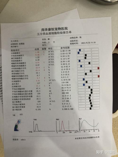 狗狗白细胞低怎么办,狗狗白细胞低怎么回事-第6张图片-后鲨宠物 狗狗白细胞低怎么办,狗狗白细胞低怎么回事-第6张图片-后鲨宠物