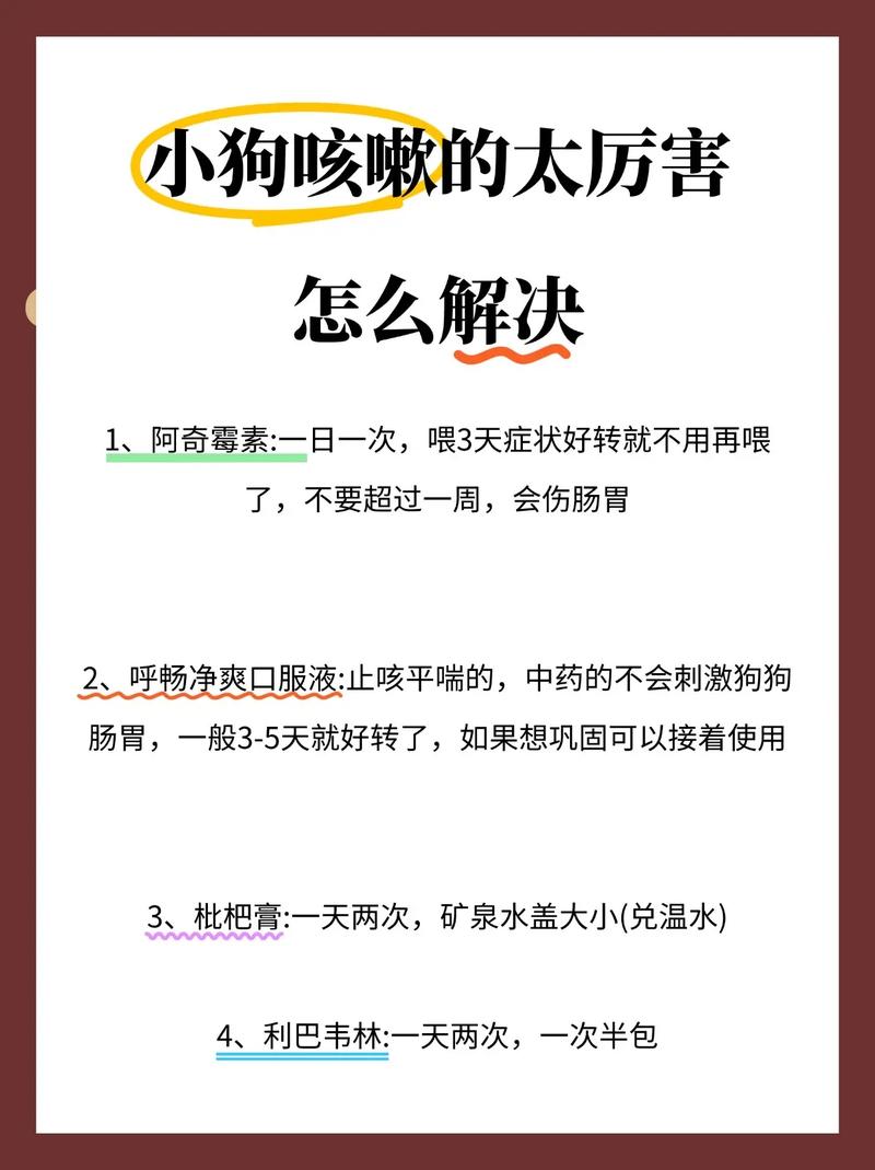 狗狗气喘吃什么药_狗狗气喘吃什么药好得快-第5张图片-后鲨宠物 狗狗气喘吃什么药_狗狗气喘吃什么药好得快-第5张图片-后鲨宠物