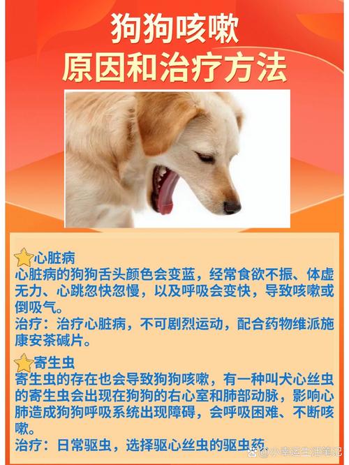 狗狗气喘吃什么药_狗狗气喘吃什么药好得快-第6张图片-后鲨宠物 狗狗气喘吃什么药_狗狗气喘吃什么药好得快-第6张图片-后鲨宠物