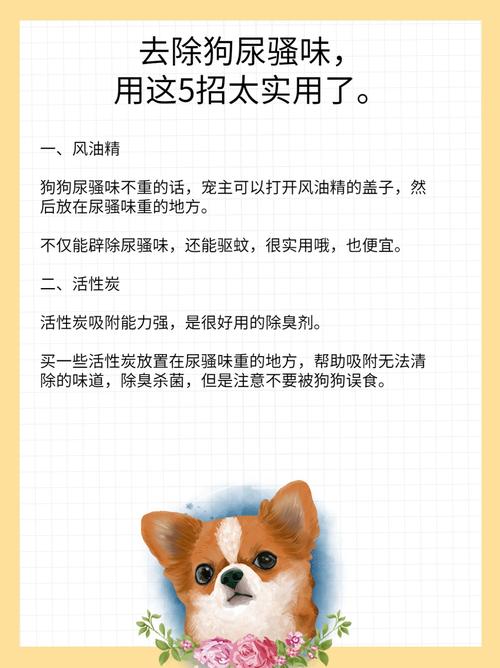 狗狗肠梗阻怎么办,狗狗肠梗阻的症状及治疗?-第5张图片-后鲨宠物 狗狗肠梗阻怎么办,狗狗肠梗阻的症状及治疗?-第5张图片-后鲨宠物