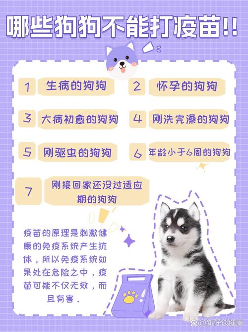 狗狗咳嗽能打疫苗吗_狗狗咳嗽可以打疫苗-第2张图片-后鲨宠物 狗狗咳嗽能打疫苗吗_狗狗咳嗽可以打疫苗-第2张图片-后鲨宠物
