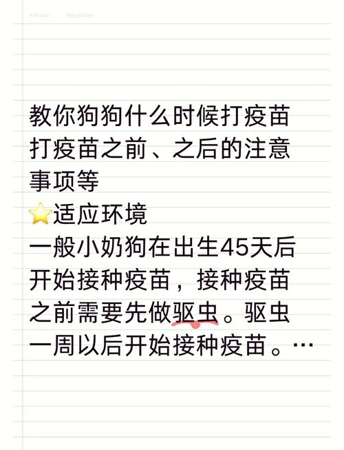 狗狗咳嗽能打疫苗吗_狗狗咳嗽可以打疫苗-第3张图片-后鲨宠物 狗狗咳嗽能打疫苗吗_狗狗咳嗽可以打疫苗-第3张图片-后鲨宠物