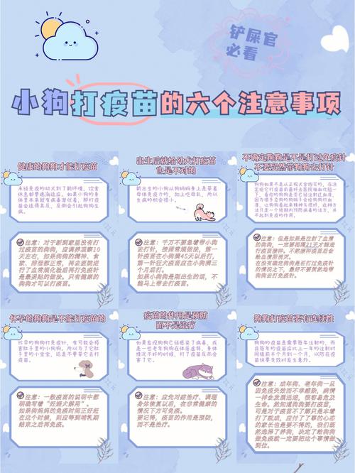 狗狗咳嗽能打疫苗吗_狗狗咳嗽可以打疫苗-第4张图片-后鲨宠物 狗狗咳嗽能打疫苗吗_狗狗咳嗽可以打疫苗-第4张图片-后鲨宠物