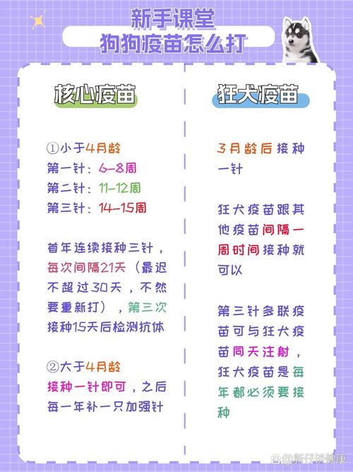 狗狗咳嗽能打疫苗吗_狗狗咳嗽可以打疫苗-第5张图片-后鲨宠物 狗狗咳嗽能打疫苗吗_狗狗咳嗽可以打疫苗-第5张图片-后鲨宠物