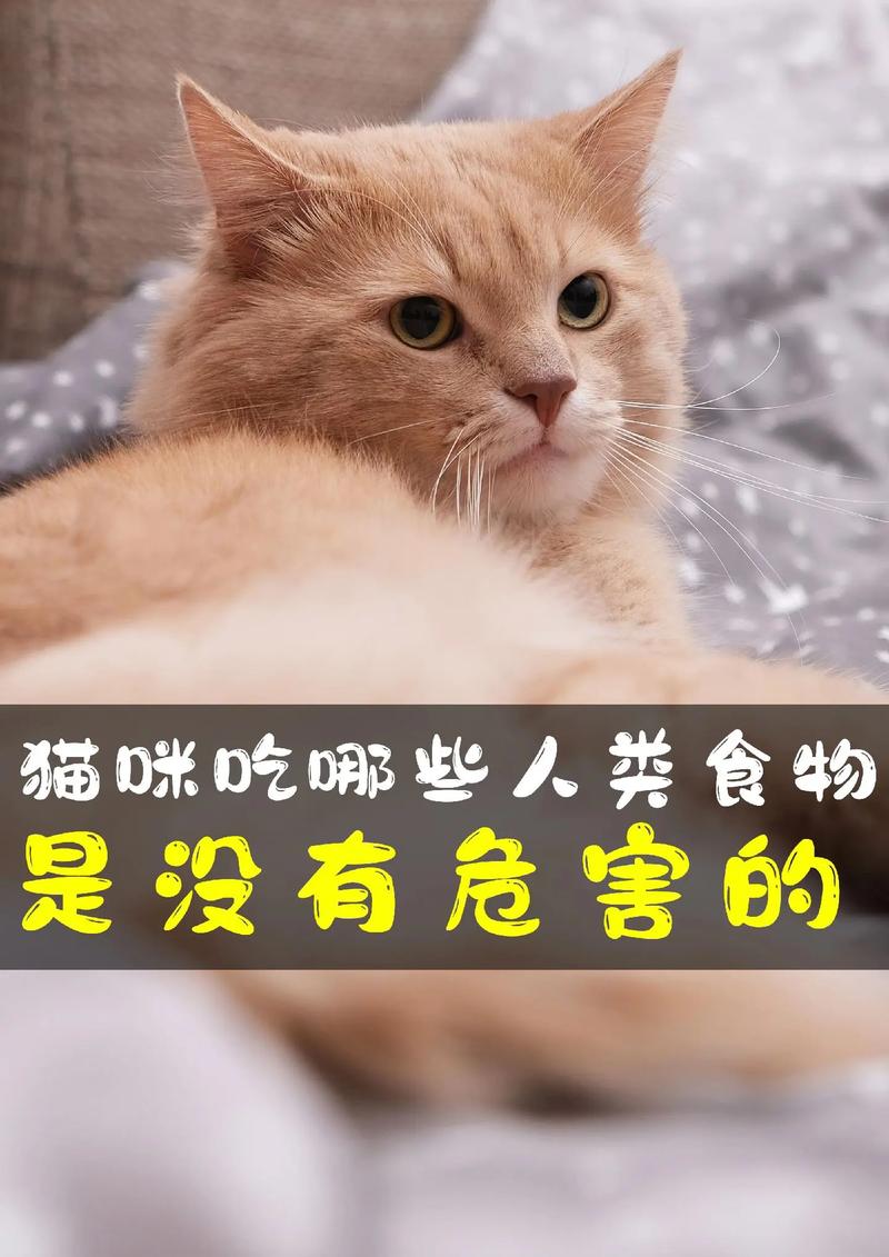 猫咪不怎么吃猫粮,猫咪不怎么吃猫粮怎么办-第1张图片-后鲨宠物 猫咪不怎么吃猫粮,猫咪不怎么吃猫粮怎么办-第1张图片-后鲨宠物