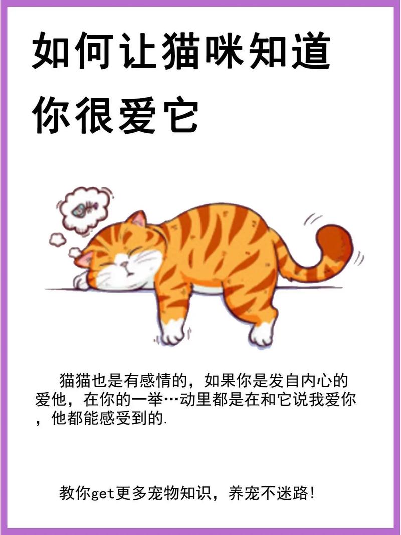 怎么才能让猫咪喜欢你,怎么样才能让猫咪喜欢你-第4张图片-后鲨宠物 怎么才能让猫咪喜欢你,怎么样才能让猫咪喜欢你-第4张图片-后鲨宠物