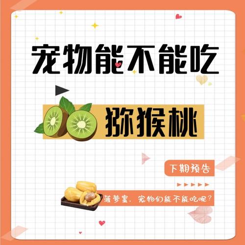 狗狗可以吃奇异果吗,狗狗能不能吃奇异果-第3张图片-后鲨宠物 狗狗可以吃奇异果吗,狗狗能不能吃奇异果-第3张图片-后鲨宠物