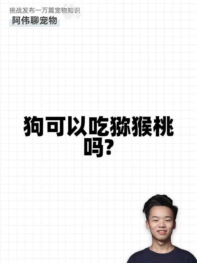 狗狗可以吃奇异果吗,狗狗能不能吃奇异果-第4张图片-后鲨宠物 狗狗可以吃奇异果吗,狗狗能不能吃奇异果-第4张图片-后鲨宠物