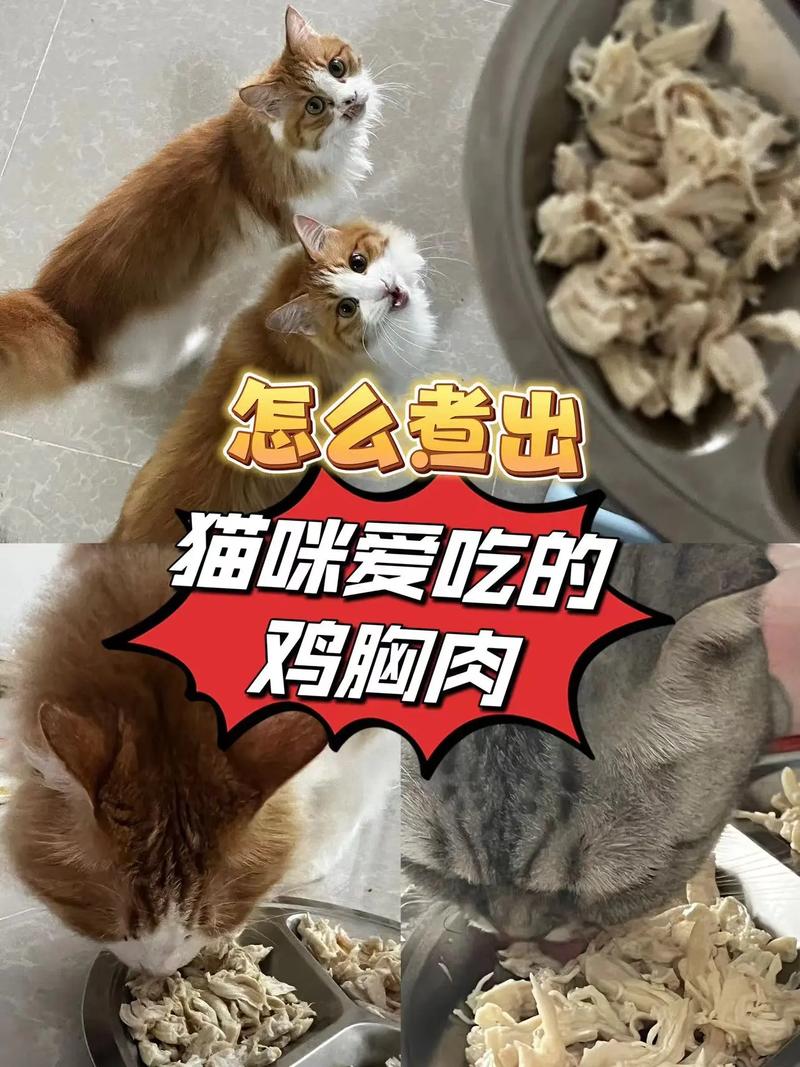 鸡胸肉猫咪吃怎么做_鸡胸肉猫咪吃怎么做好吃-第4张图片-后鲨宠物 鸡胸肉猫咪吃怎么做_鸡胸肉猫咪吃怎么做好吃-第4张图片-后鲨宠物
