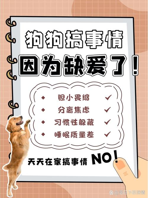 狗狗胆小怎么办，狗狗胆小怎么改变？-第4张图片-后鲨宠物