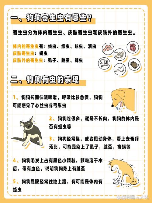 狗狗不驱虫会怎么样,怎么辨认狗狗要驱虫了?-第3张图片-后鲨宠物 狗狗不驱虫会怎么样,怎么辨认狗狗要驱虫了?-第3张图片-后鲨宠物