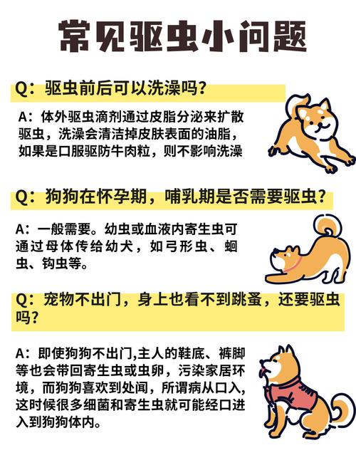 狗狗不驱虫会怎么样,怎么辨认狗狗要驱虫了?-第4张图片-后鲨宠物 狗狗不驱虫会怎么样,怎么辨认狗狗要驱虫了?-第4张图片-后鲨宠物