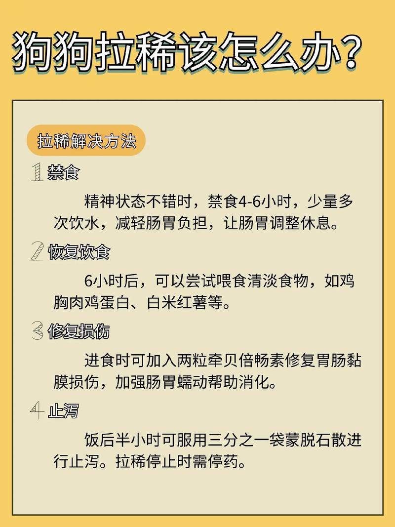 狗狗老是拉稀怎么回事,狗狗总是拉稀怎么办?-第4张图片-后鲨宠物 狗狗老是拉稀怎么回事,狗狗总是拉稀怎么办?-第4张图片-后鲨宠物
