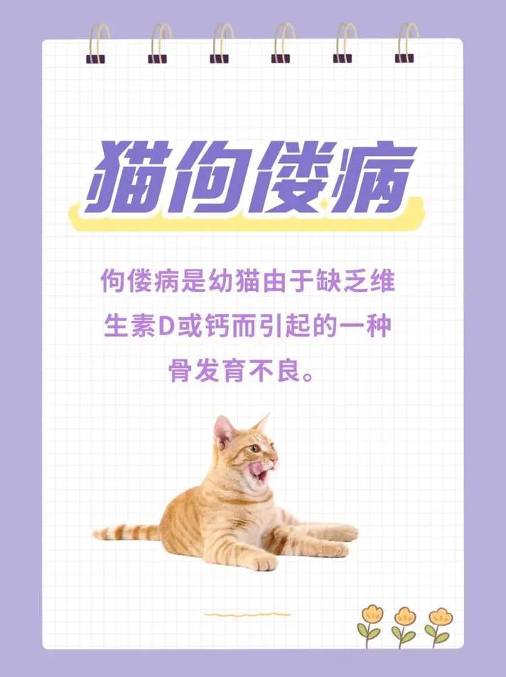 猫咪软骨病能治好吗_猫咪软骨病能治好吗要多少钱-第5张图片-后鲨宠物 猫咪软骨病能治好吗_猫咪软骨病能治好吗要多少钱-第5张图片-后鲨宠物