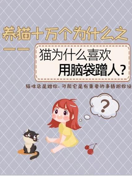 猫咪总是用头蹭你是为什么,猫咪老是用头蹭你是怎么了-第3张图片-后鲨宠物 猫咪总是用头蹭你是为什么,猫咪老是用头蹭你是怎么了-第3张图片-后鲨宠物