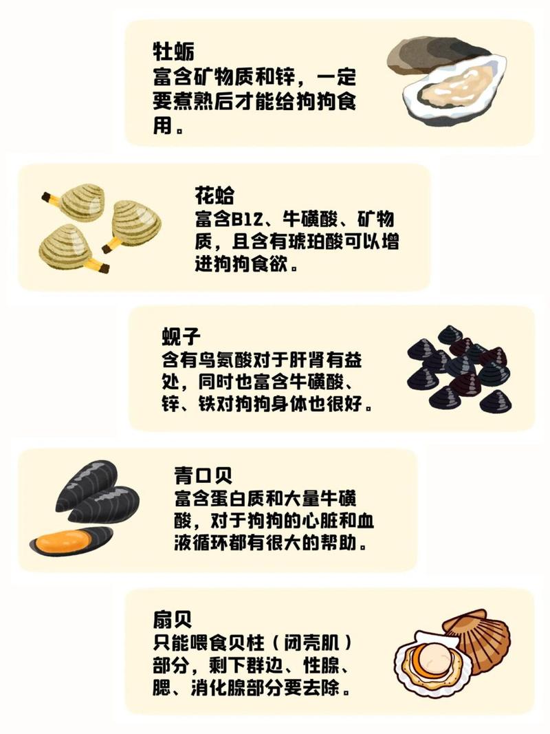 狗狗能吃花甲吗_宠物狗可以吃花甲吗-第4张图片-后鲨宠物 狗狗能吃花甲吗_宠物狗可以吃花甲吗-第4张图片-后鲨宠物