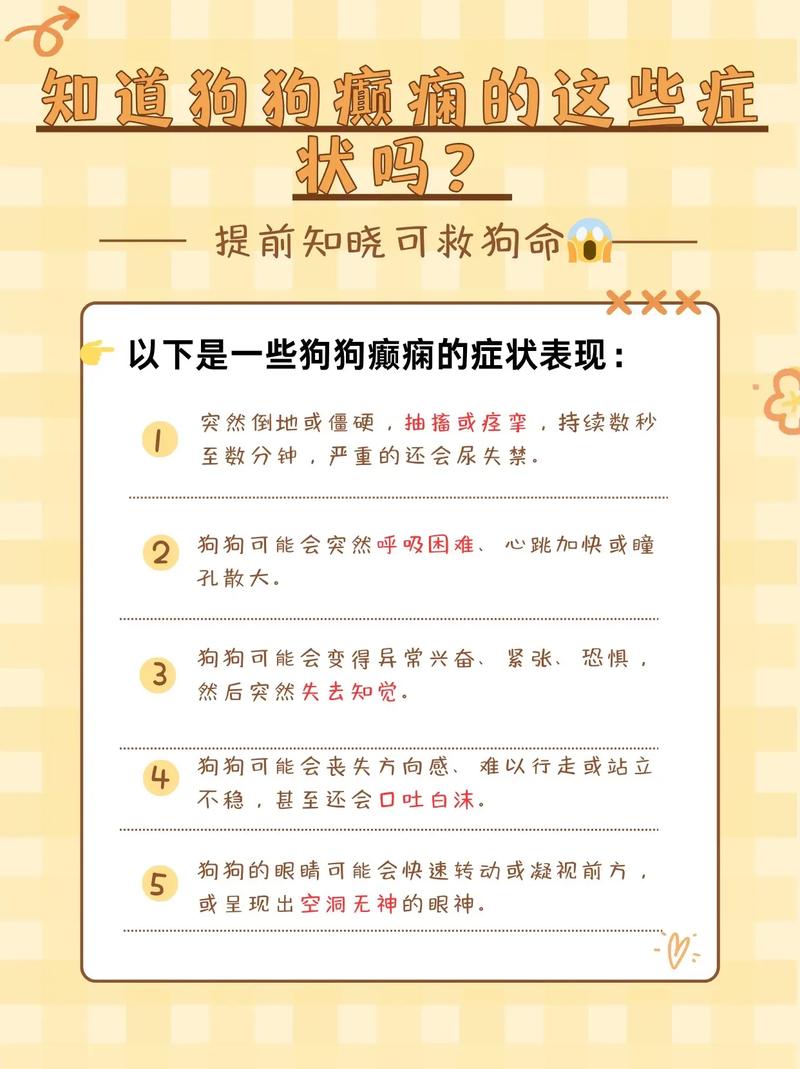 狗狗不精神是怎么回事,狗狗有点不精神不振-第4张图片-后鲨宠物 狗狗不精神是怎么回事,狗狗有点不精神不振-第4张图片-后鲨宠物