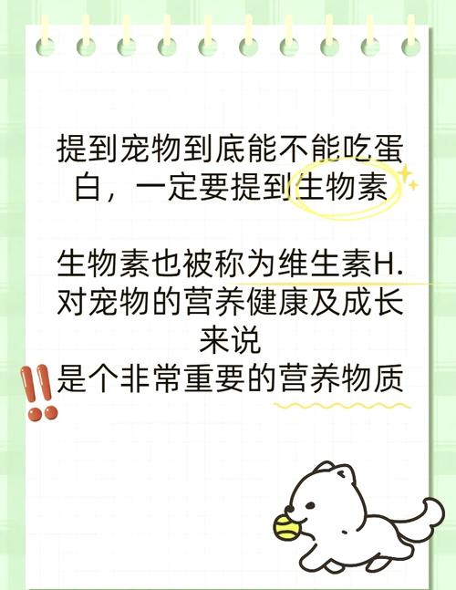 狗狗能吃煮熟的蛋白吗_狗狗能吃煮熟的蛋白吗有营养吗-第3张图片-后鲨宠物 狗狗能吃煮熟的蛋白吗_狗狗能吃煮熟的蛋白吗有营养吗-第3张图片-后鲨宠物