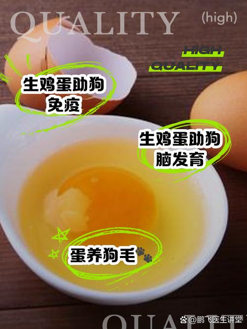 狗狗能喝生鸡蛋吗,狗喝生鸡蛋有什么作用??-第4张图片-后鲨宠物 狗狗能喝生鸡蛋吗,狗喝生鸡蛋有什么作用??-第4张图片-后鲨宠物