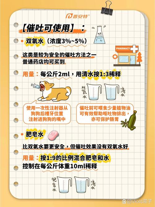 怎么帮狗狗催吐,怎么帮狗狗催吐食物?-第4张图片-后鲨宠物 怎么帮狗狗催吐,怎么帮狗狗催吐食物?-第4张图片-后鲨宠物