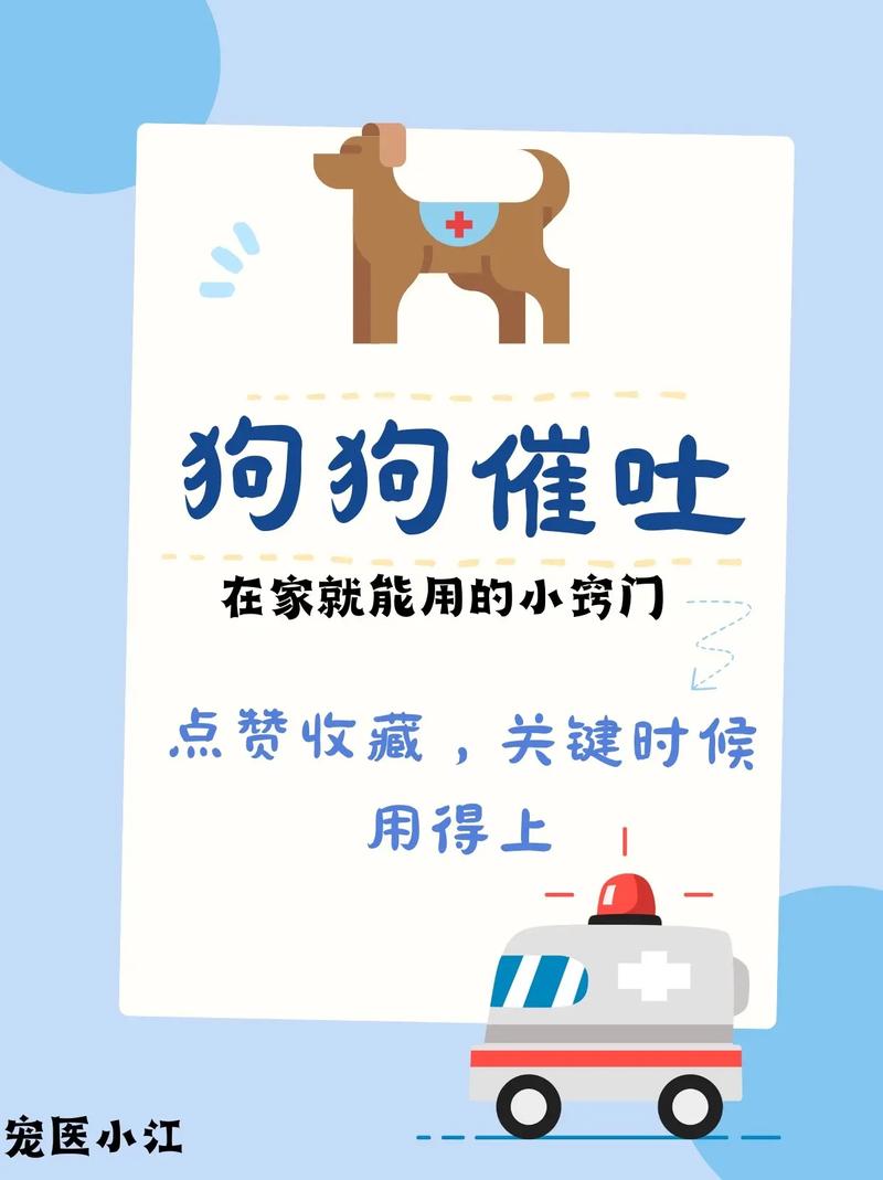 怎么帮狗狗催吐,怎么帮狗狗催吐食物?-第5张图片-后鲨宠物 怎么帮狗狗催吐,怎么帮狗狗催吐食物?-第5张图片-后鲨宠物