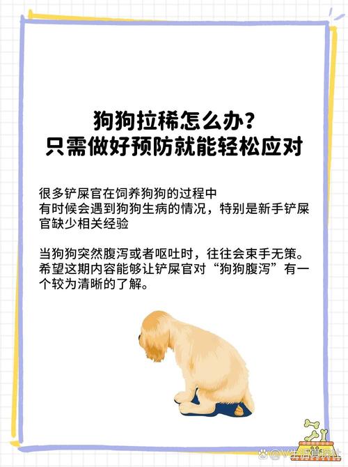 狗狗拉肚子几天能好_狗狗拉肚子几天会好-第6张图片-后鲨宠物 狗狗拉肚子几天能好_狗狗拉肚子几天会好-第6张图片-后鲨宠物