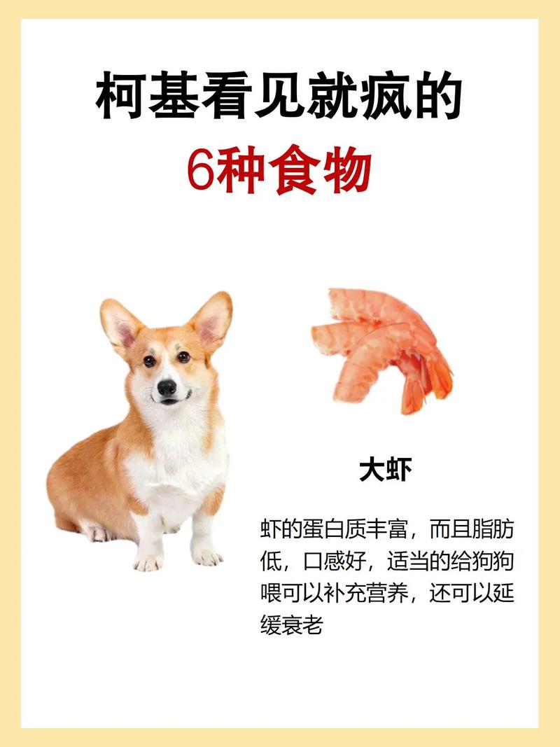 狗狗拉肚子吃什么好_狗狗拉肚子吃什么好消化-第5张图片-后鲨宠物 狗狗拉肚子吃什么好_狗狗拉肚子吃什么好消化-第5张图片-后鲨宠物