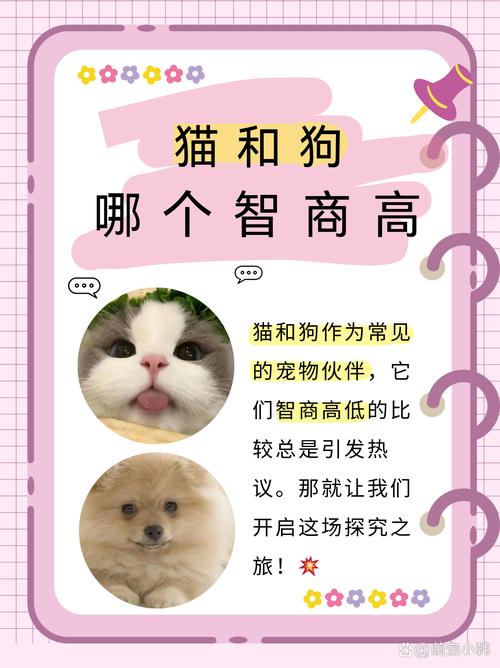 猫咪和狗狗哪个更聪明,猫咪跟狗谁聪明-第2张图片-后鲨宠物 猫咪和狗狗哪个更聪明,猫咪跟狗谁聪明-第2张图片-后鲨宠物