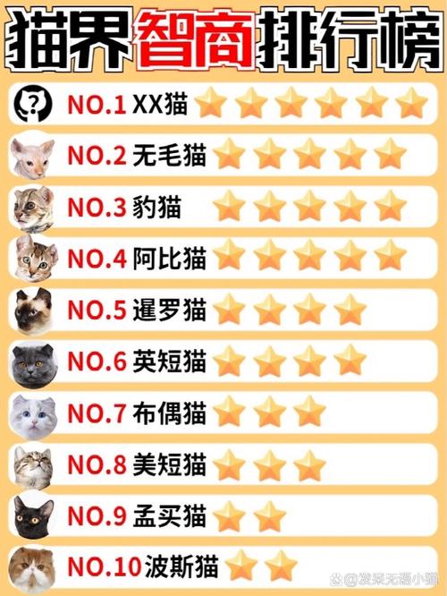 猫咪和狗狗哪个更聪明,猫咪跟狗谁聪明-第4张图片-后鲨宠物 猫咪和狗狗哪个更聪明,猫咪跟狗谁聪明-第4张图片-后鲨宠物