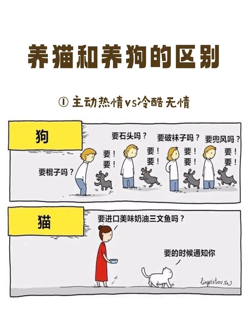 猫咪和狗狗哪个更聪明,猫咪跟狗谁聪明-第5张图片-后鲨宠物 猫咪和狗狗哪个更聪明,猫咪跟狗谁聪明-第5张图片-后鲨宠物