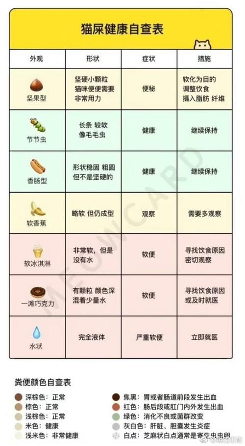 猫咪拉黄色软便,猫咪拉黄色软便但是精神很好-第1张图片-后鲨宠物 猫咪拉黄色软便,猫咪拉黄色软便但是精神很好-第1张图片-后鲨宠物