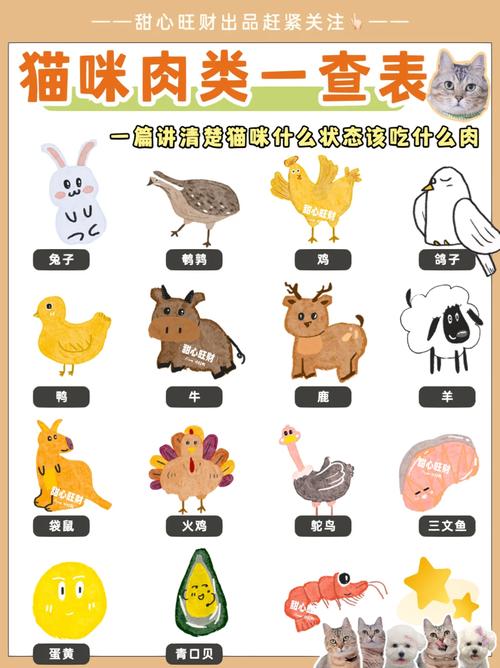 猫咪可以吃肥肉吗_猫咪可以吃肥肉吗会胖吗-第5张图片-后鲨宠物 猫咪可以吃肥肉吗_猫咪可以吃肥肉吗会胖吗-第5张图片-后鲨宠物