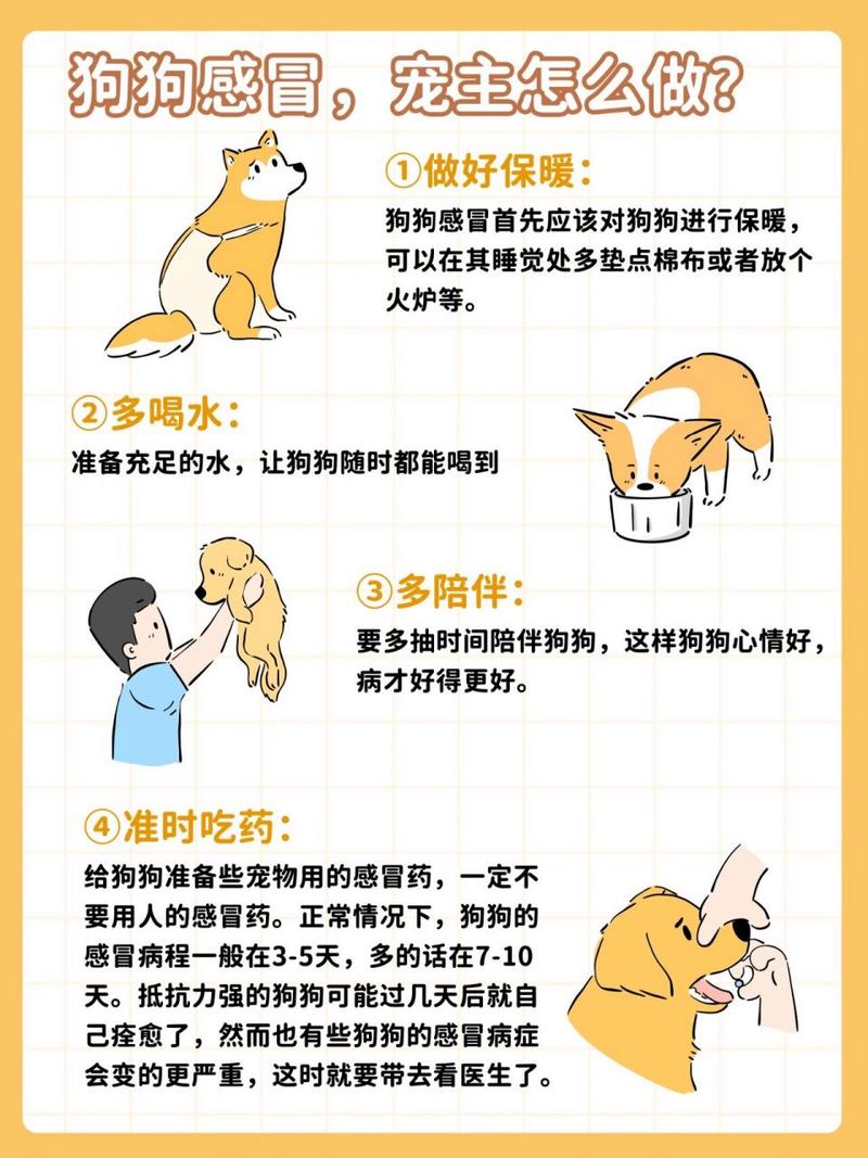 狗狗打喷嚏怎么办，狗打喷嚏流鼻涕吃什么药？-第4张图片-后鲨宠物