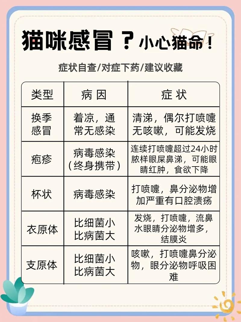 猫咪感冒的症状表现,猫咪感冒的症状有哪些吃什么药-第1张图片-后鲨宠物 猫咪感冒的症状表现,猫咪感冒的症状有哪些吃什么药-第1张图片-后鲨宠物