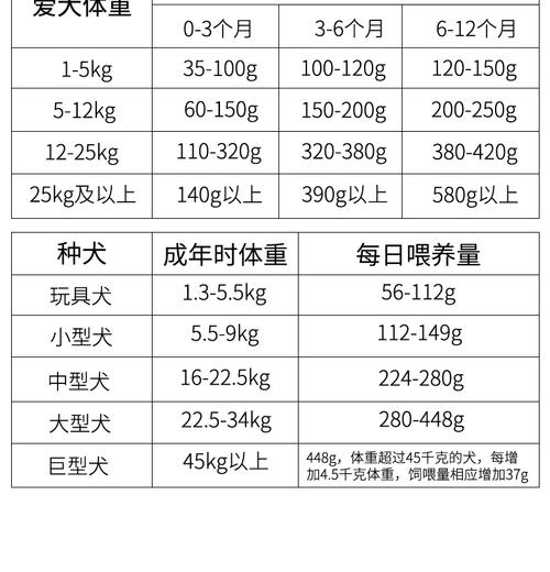 多大的狗狗可以吃干狗粮,狗多大才能吃干狗粮-第4张图片-后鲨宠物 多大的狗狗可以吃干狗粮,狗多大才能吃干狗粮-第4张图片-后鲨宠物