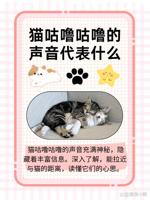  猫咪睡觉一直咕噜咕噜，猫咪睡觉一直咕噜咕噜响-第2张图片-后鲨宠物