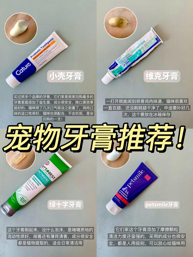 猫咪口臭吃什么药,猫咪口臭吃什么药管事?-第2张图片-后鲨宠物 猫咪口臭吃什么药,猫咪口臭吃什么药管事?-第2张图片-后鲨宠物