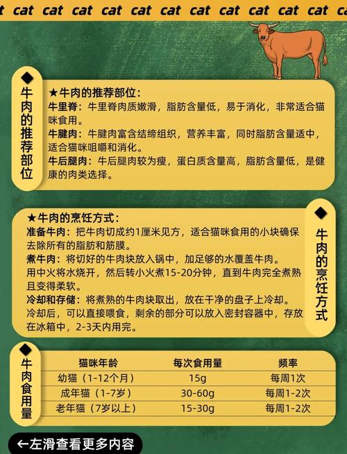 猫咪吃生牛肉好吗,猫咪吃生牛肉好吗?-第3张图片-后鲨宠物 猫咪吃生牛肉好吗,猫咪吃生牛肉好吗?-第3张图片-后鲨宠物