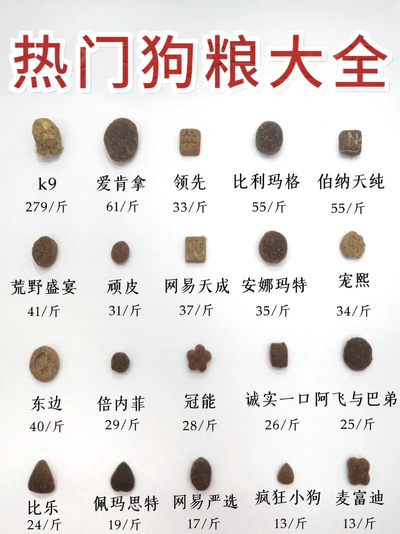 狗狗多大吃干粮,狗狗要多大才能吃干狗粮?-第4张图片-后鲨宠物 狗狗多大吃干粮,狗狗要多大才能吃干狗粮?-第4张图片-后鲨宠物