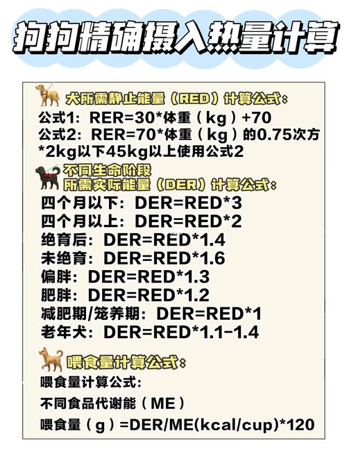 狗狗多大吃干粮,狗狗要多大才能吃干狗粮?-第5张图片-后鲨宠物 狗狗多大吃干粮,狗狗要多大才能吃干狗粮?-第5张图片-后鲨宠物