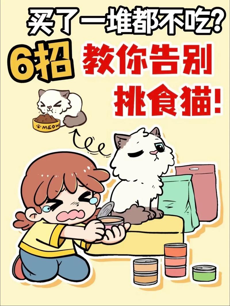 猫咪不爱吃猫粮,猫咪不爱吃猫粮,越来越瘦-第3张图片-后鲨宠物 猫咪不爱吃猫粮,猫咪不爱吃猫粮,越来越瘦-第3张图片-后鲨宠物