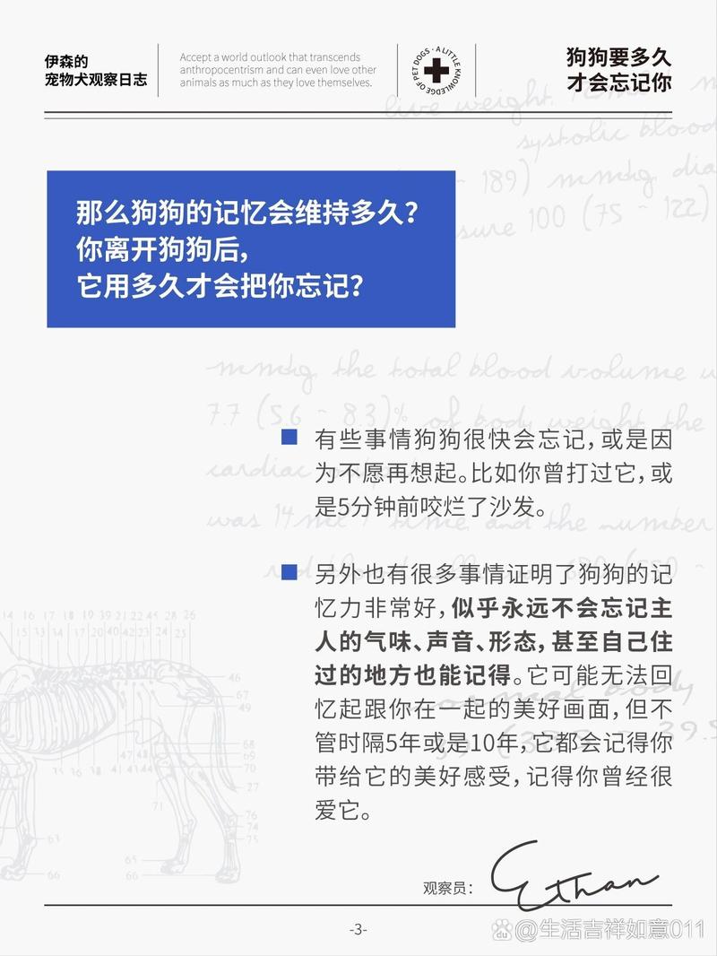 狗狗的记忆力有多久,狗狗的记忆力有多久才能恢复?-第1张图片-后鲨宠物 狗狗的记忆力有多久,狗狗的记忆力有多久才能恢复?-第1张图片-后鲨宠物