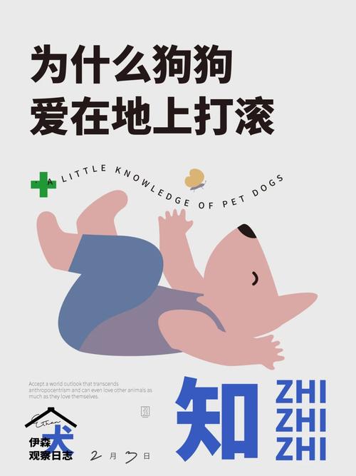 狗狗打滚代表什么意思,狗狗打滚代表什么意思呢?-第6张图片-后鲨宠物 狗狗打滚代表什么意思,狗狗打滚代表什么意思呢?-第6张图片-后鲨宠物