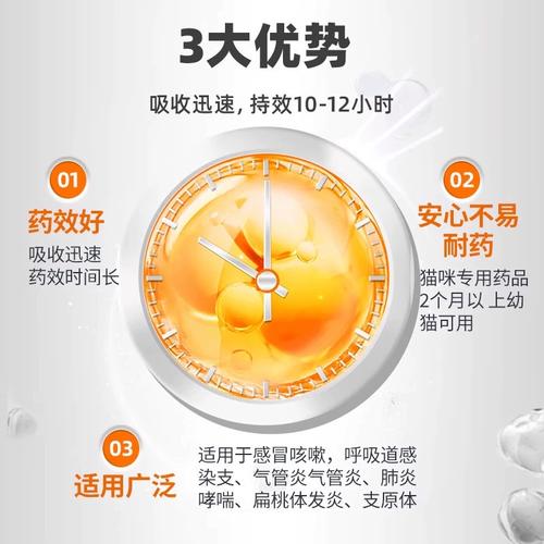 猫猫感冒了怎么办,猫咪感冒了能自愈吗?-第1张图片-后鲨宠物 猫猫感冒了怎么办,猫咪感冒了能自愈吗?-第1张图片-后鲨宠物