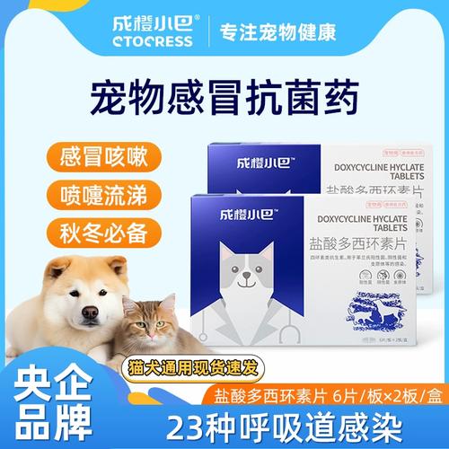 猫猫感冒了怎么办,猫咪感冒了能自愈吗?-第4张图片-后鲨宠物 猫猫感冒了怎么办,猫咪感冒了能自愈吗?-第4张图片-后鲨宠物