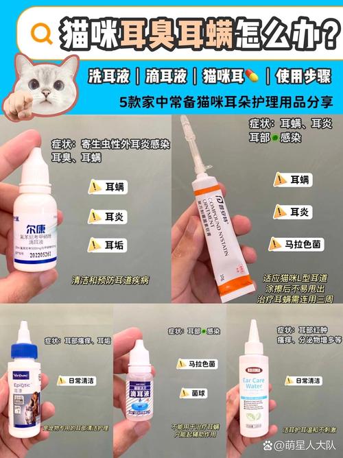 猫咪耳朵痒怎么办_猫咪耳朵痒咋办-第1张图片-后鲨宠物 猫咪耳朵痒怎么办_猫咪耳朵痒咋办-第1张图片-后鲨宠物