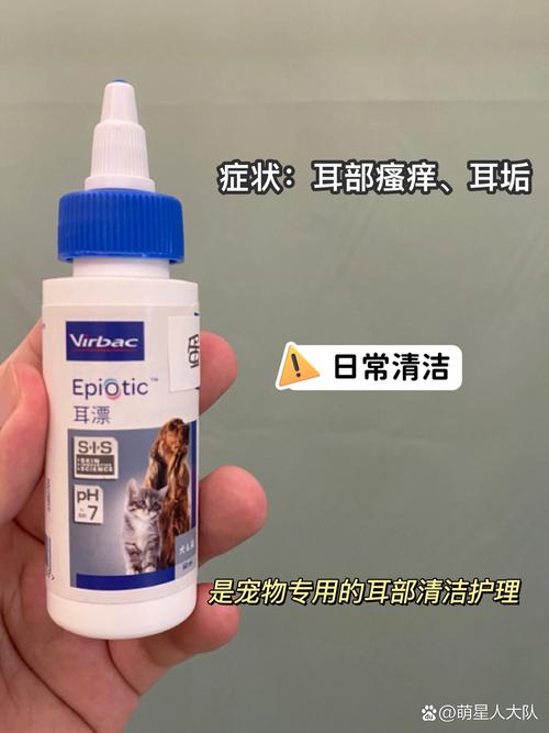 猫咪耳朵痒怎么办_猫咪耳朵痒咋办-第4张图片-后鲨宠物 猫咪耳朵痒怎么办_猫咪耳朵痒咋办-第4张图片-后鲨宠物