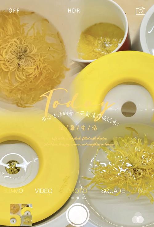 狗狗上火能喝菊花茶吗,狗狗喝菊花茶下火?-第5张图片-后鲨宠物 狗狗上火能喝菊花茶吗,狗狗喝菊花茶下火?-第5张图片-后鲨宠物